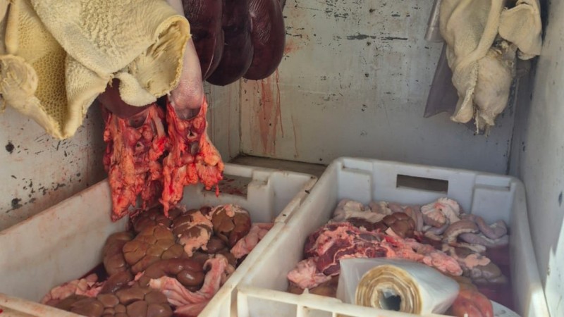 Operativo contra el Abigeato en Lavalle: la Policía Rural decomisan 92 kilos de carne no apta para consumo